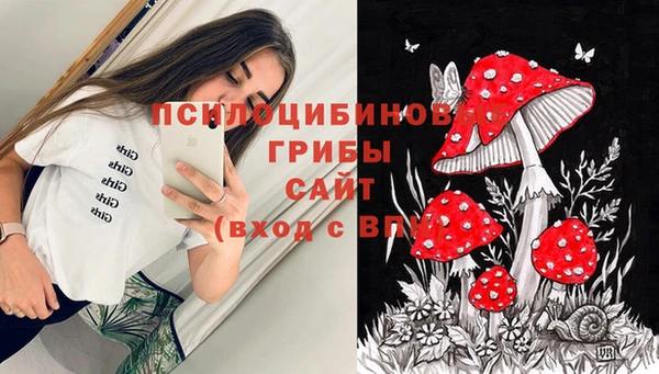 твердый Арсеньев