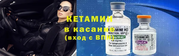 сатива Аркадак