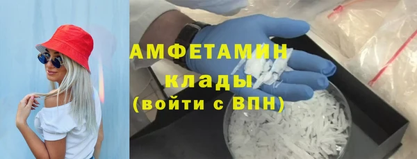 сатива Аркадак