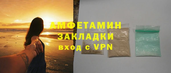 сатива Аркадак