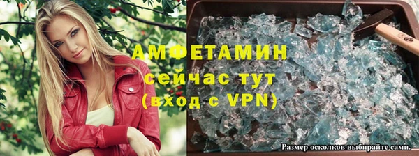 твердый Арсеньев