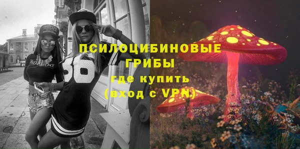 сатива Аркадак
