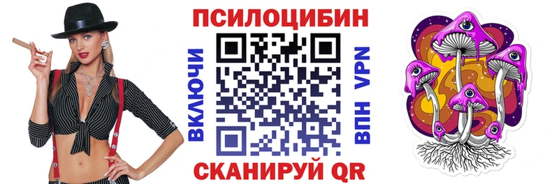 гидра как зайти  продажа наркотиков  Балей  Псилоцибиновые грибы прущие грибы 